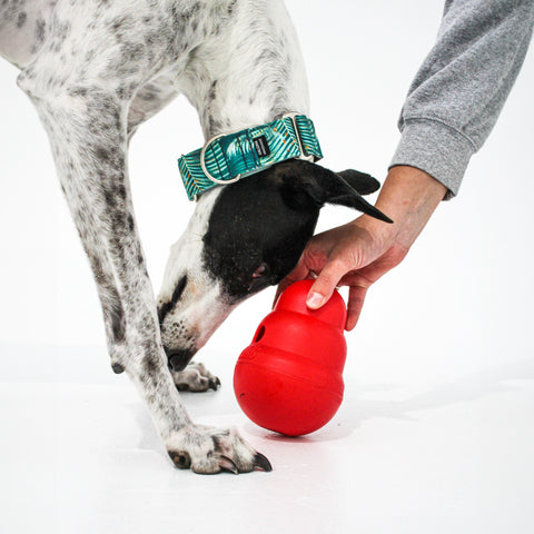 Training Essentials